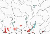 Костенец алтайский. Область распространения