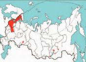 Полушник щетинистый