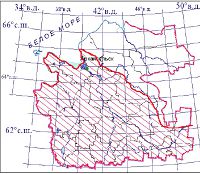 Обыкновенная гадюка