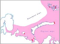Морж
