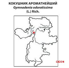 Кокушник ароматнейший. Распространение. Красная книга Челябинсой обл.