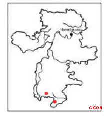 Богомол-крошка. Из Красной книги Челябинской области.