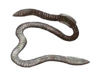 Эйзения малевича