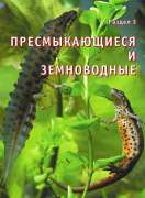Пресмыкающиеся и земноводные города Москвы