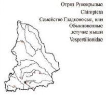 . Область распространения. Свердловская область.