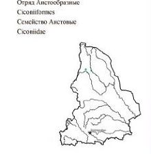 Черный аист. Область распространения. Свердловская область.
