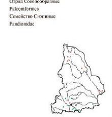 Скопа. Область распространения. Свердловская область.