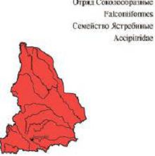 Тетеревятник. Область распространения. Свердловская область.