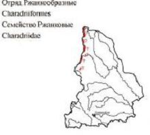 Хрустан. Область распространения. Свердловская область.