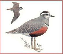 Хрустан (Свердловской обл.)