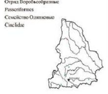 Оляпка. Область распространения. Свердловская область.