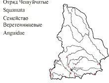 Ломкая веретеница. Область распространения. Свердловская область.