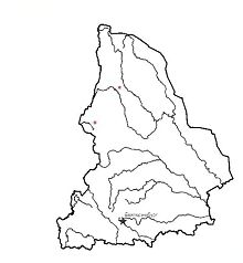 Жужелица лошникова. Область распространения. Свердловская область.