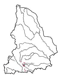 Широкий плавунец. Область распространения. Свердловская область.