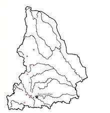 Чернушка циклоп. Область распространения. Свердловская область.