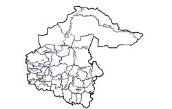 Пятнистокрылка черноватая