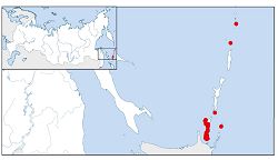 Морщинистокрылая жужелица