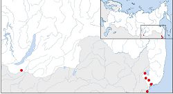 Шмель Черского