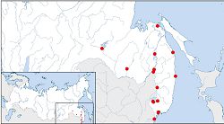 Редчайший шмель