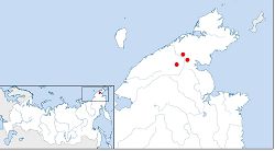 Карликовый валёк