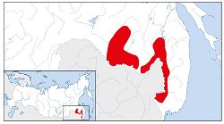 Дальневосточный аист