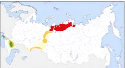 Краснозобая казарка