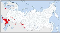 Белоглазый нырок