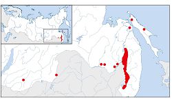 Кийская анемина
