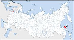 Чернозобик