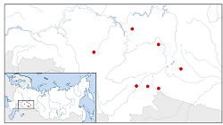 Степной средний кроншнеп