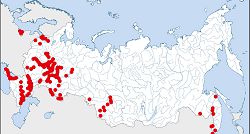 Малая крачка