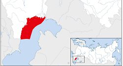 Каспийский тюлень