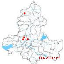 Хвощ большой