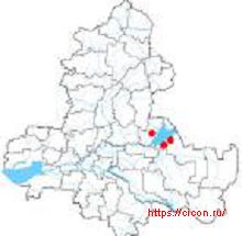 Плаколеканора ячменнолепёшковая