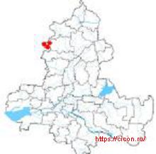 Полынь беловойлочная