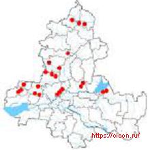 Копеечник крупноцветковый