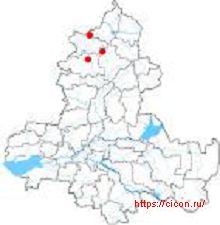Чина чёрная