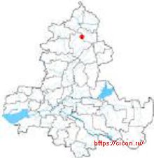 Мытник вздуточашечный