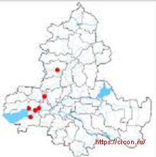 Гриб-зонтик оливье