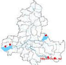 Гребенщик стройный