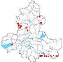 Лук савранский