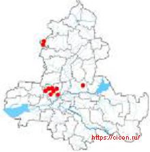 Эремурус замечательный