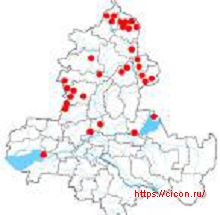 Ковыль днепровский