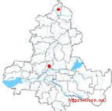 Черный аист